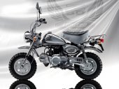2006 Honda Monkey photo
